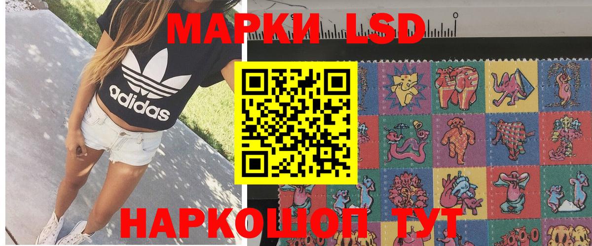Наркотические марки 1,8мг  Вход с VPN  Свободный  Наркотические марки 1,8мг 