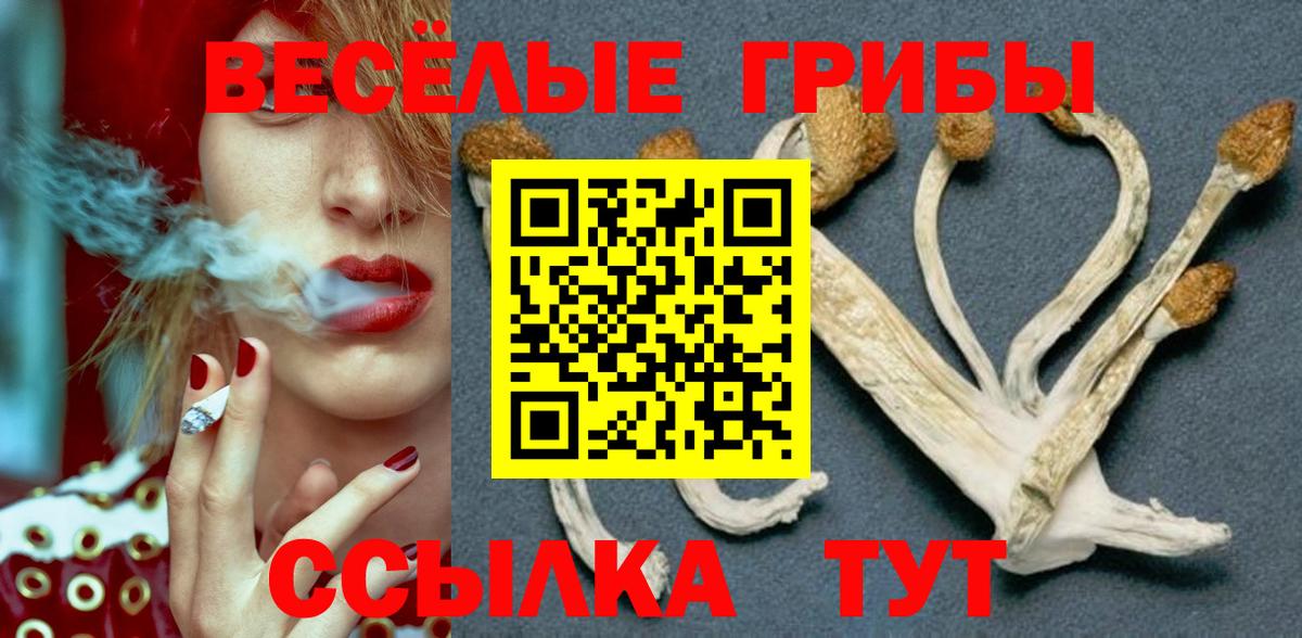 Псилоцибиновые грибы мухоморы  Вход с VPN  Свободный 